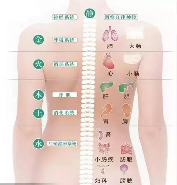 中医美容,美容培训,学美容,美容学校