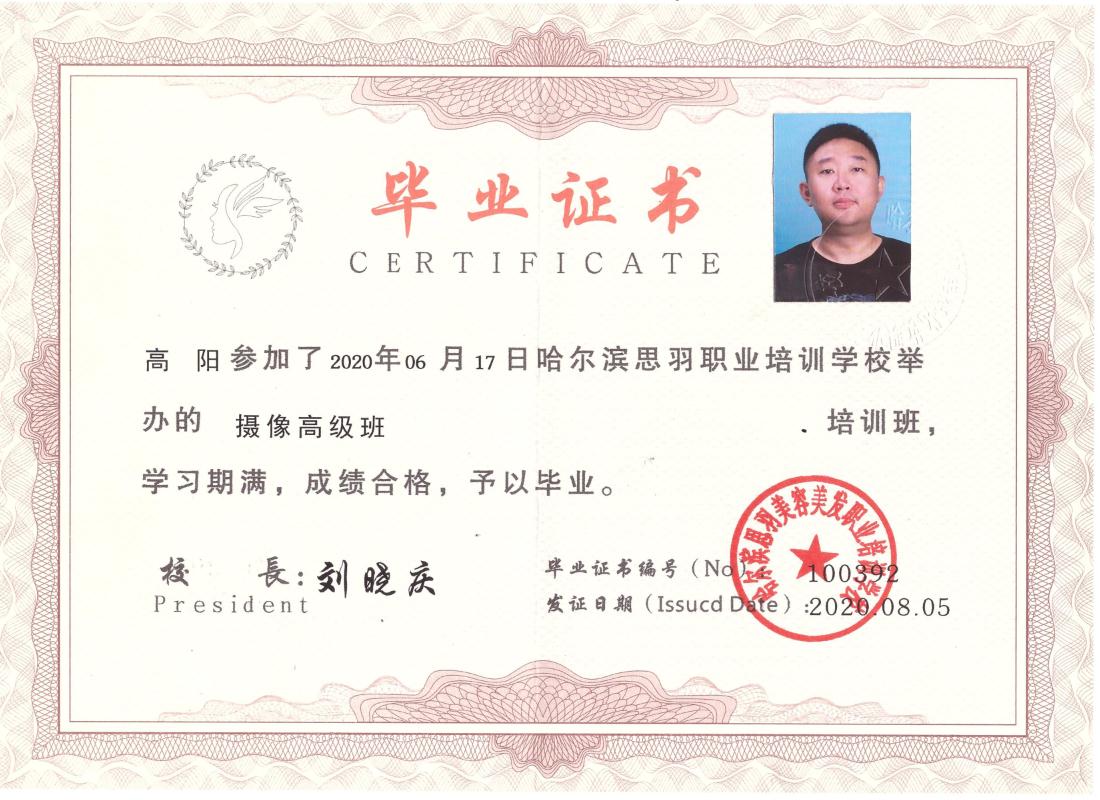 高阳-100392