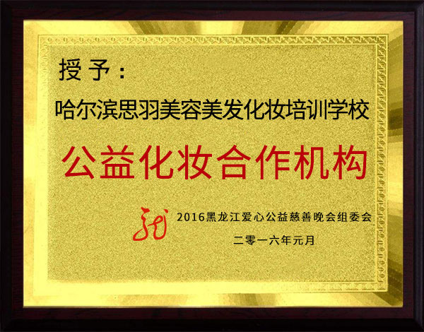 公益化妆合作机构