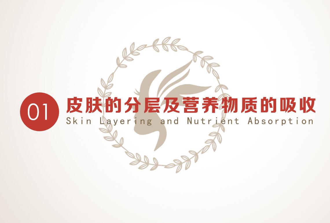 美容网络课程第一章