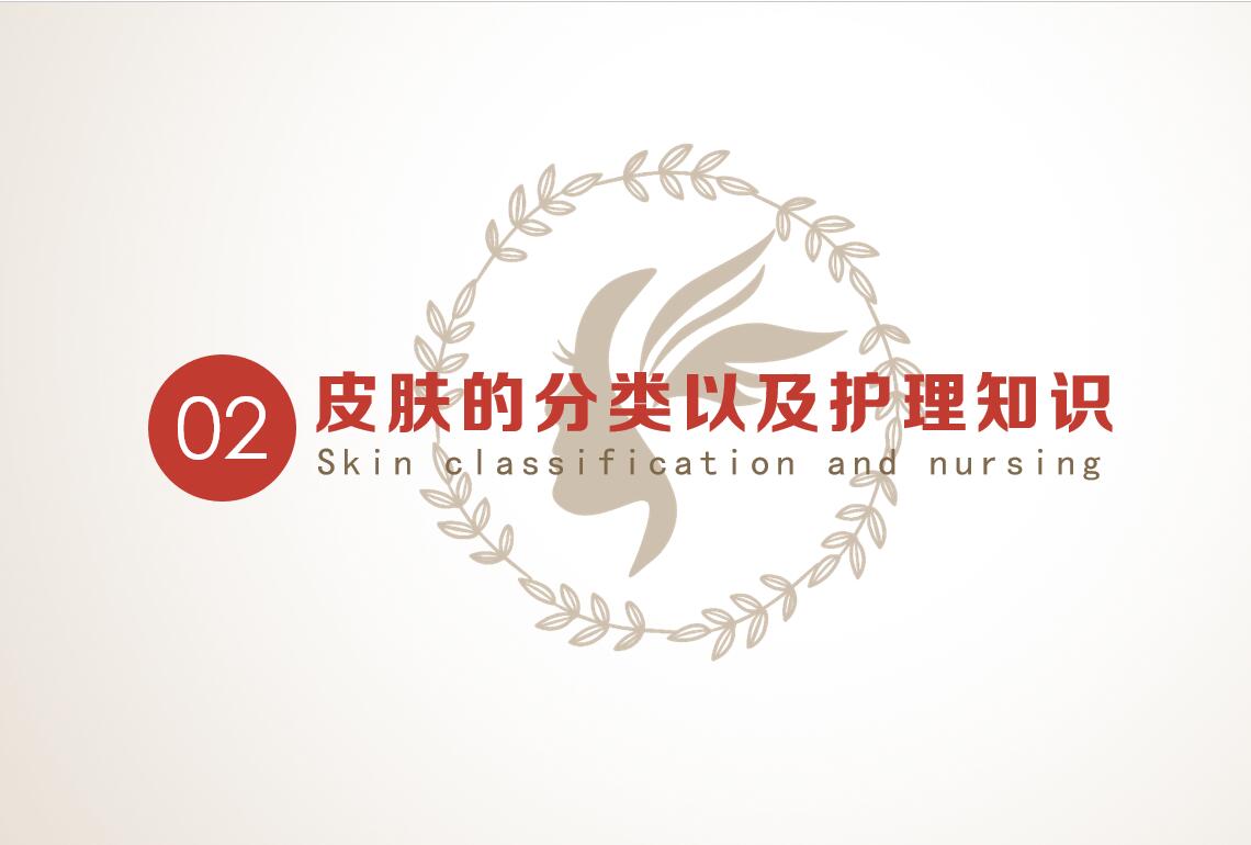 美容网络课程第二章