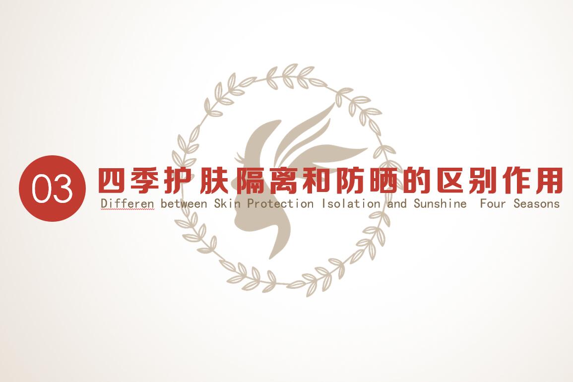 美容网络课程三四章