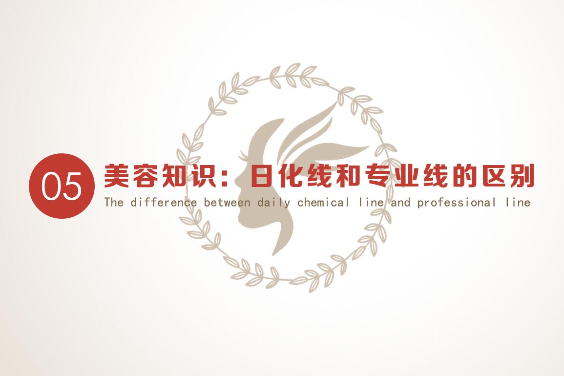 美容网络课程第六章
